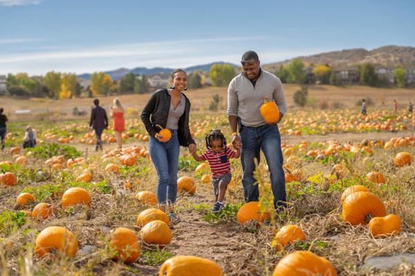 7 Pumpkin Patches to Visit in Denver and the Front Range,Sultan Newman Group