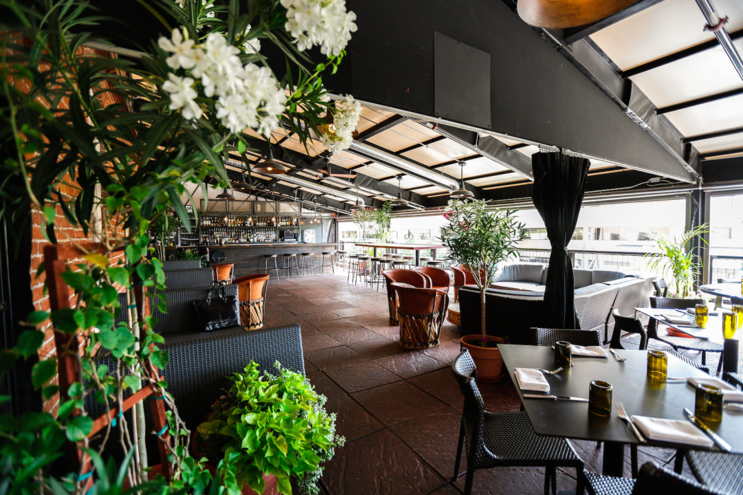 Tamayo's patio is shady and welcoming. Image courtesy of Tamayo