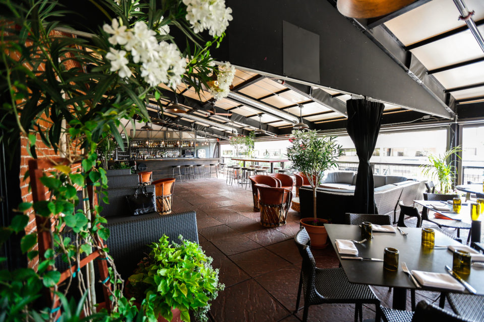 Tamayo's patio is shady and welcoming. Image courtesy of Tamayo